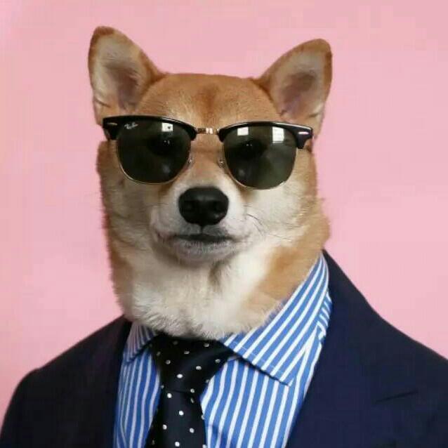 Driving My Ford Mustang