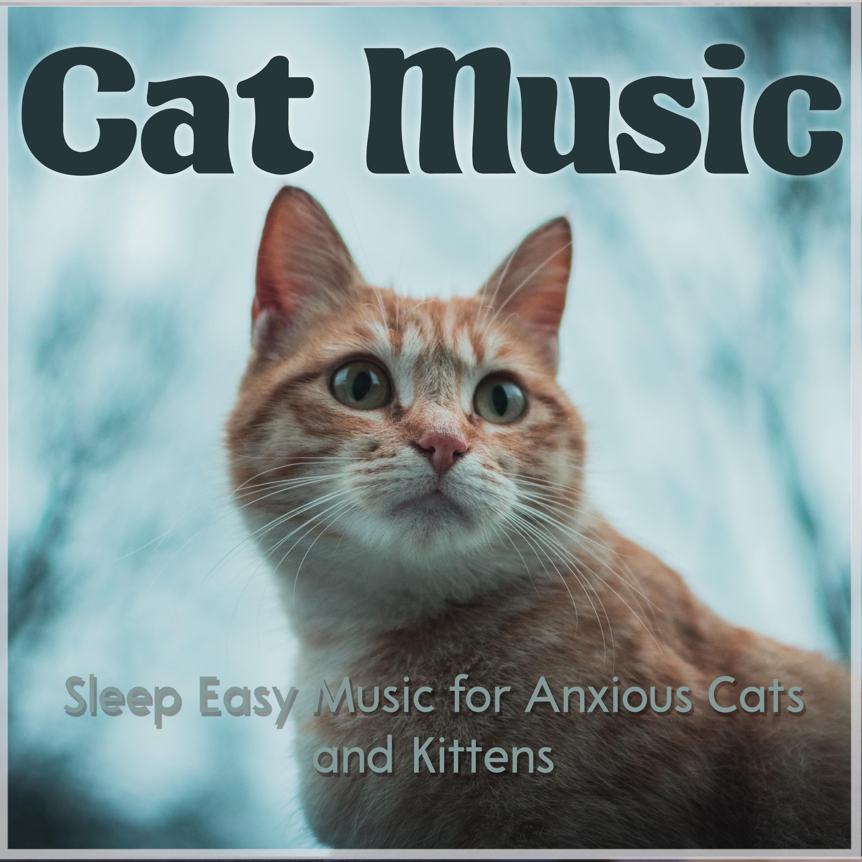Calming Rhythms Cat Music Dreams/Cat Music Therapy/RelaxMyCat 单曲