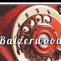 Balzerwood资料,Balzerwood最新歌曲,BalzerwoodMV视频,Balzerwood音乐专辑,Balzerwood好听的歌