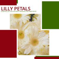 Lilly Petals - Essential Spa Oils For Body Massage And Inner Peace