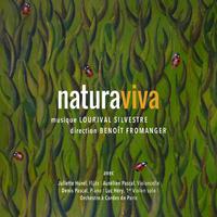 Natura viva