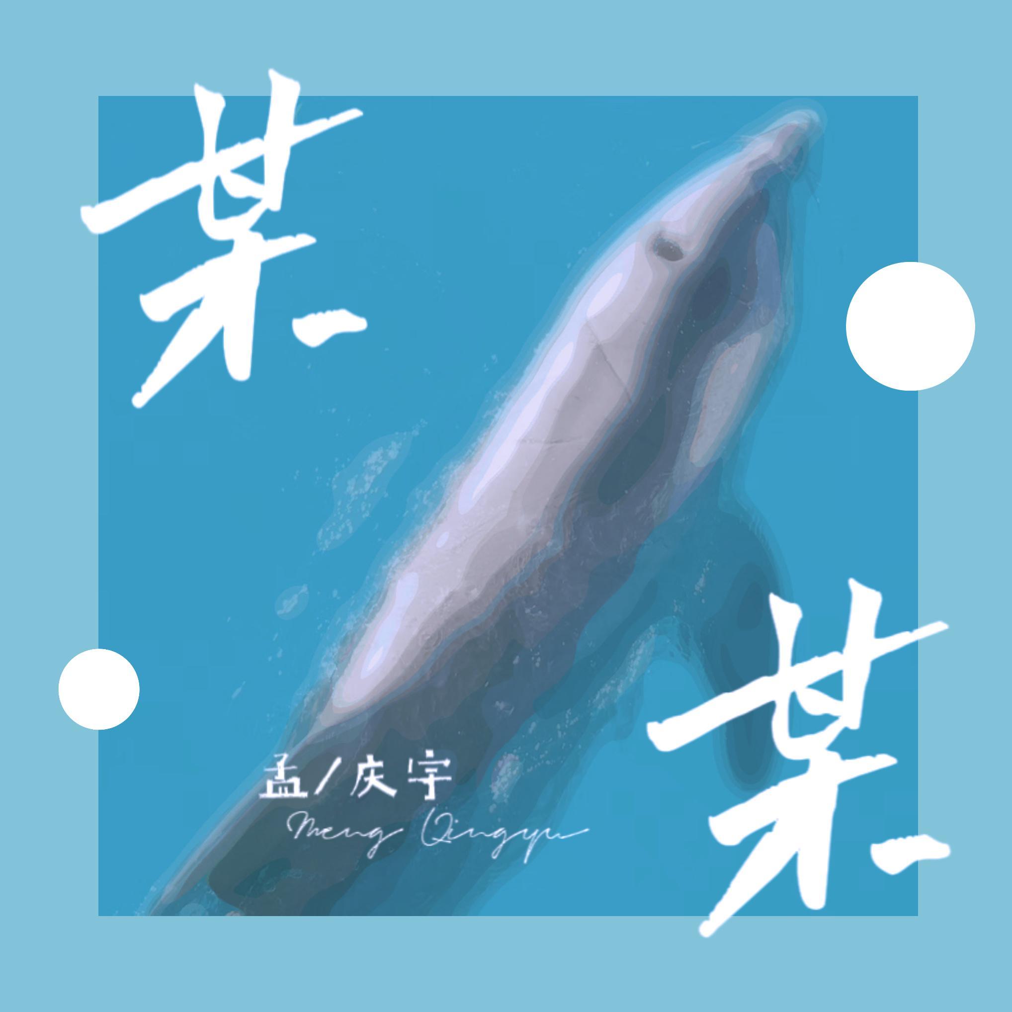 某某 (伴奏)封面