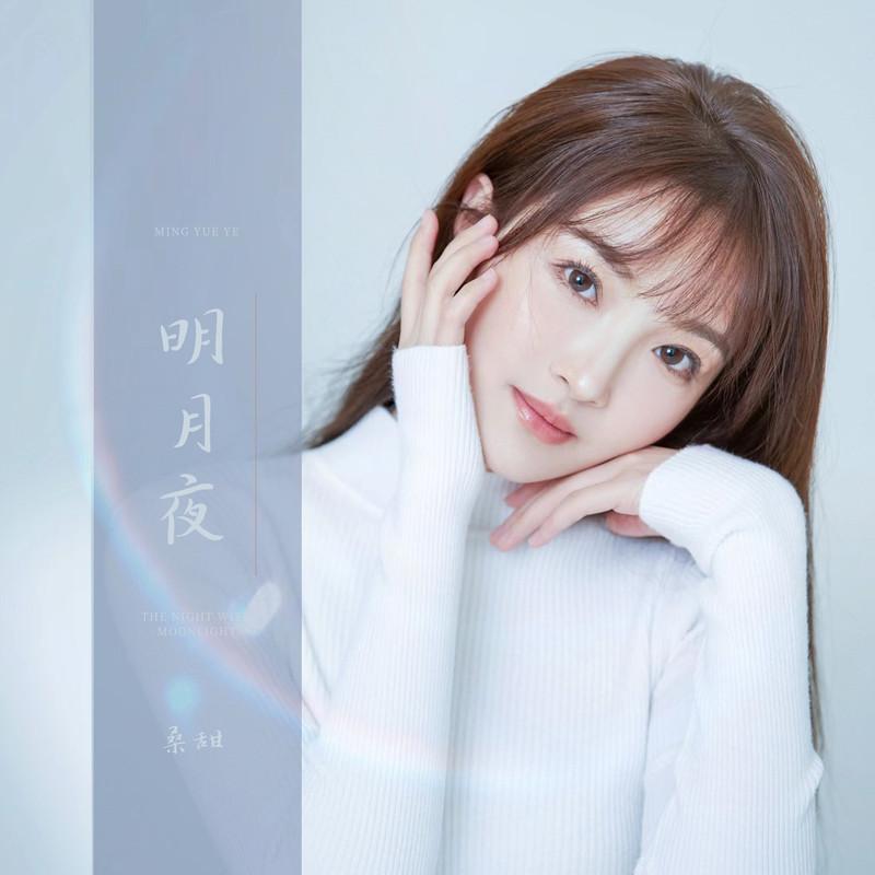 明月夜 (DJ京仔版)封面