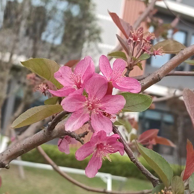 听潮阁老师们的原创歌曲