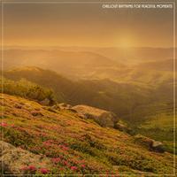 Chillout Rhythms for Peaceful Moments