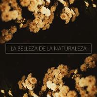 La Belleza De La Naturaleza: Música De Ambiente Para Masajes Y Terapias Naturales, Spa Y Centros De Belleza