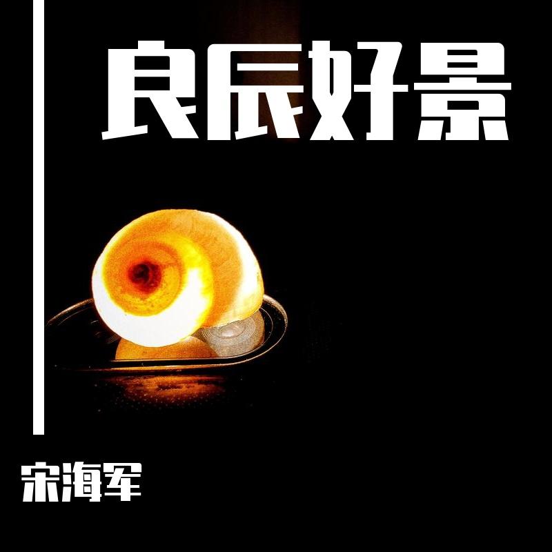 快乐练习曲 - 宋海军封面