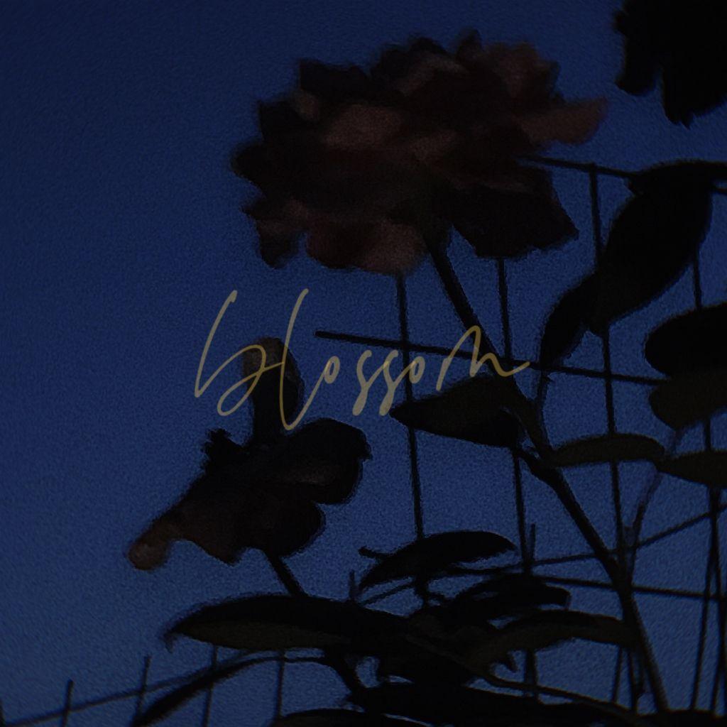 BLOSSOM_程择_BLOSSOM | 在线播放_BLOSSOM歌词_BLOSSOM下载 | 网易云音乐