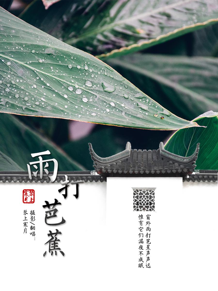 雨打芭蕉曲谱_雨打芭蕉图片