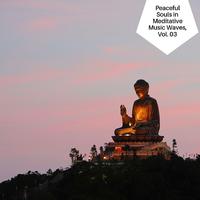 Peaceful Souls In Meditative Music Waves, Vol. 03