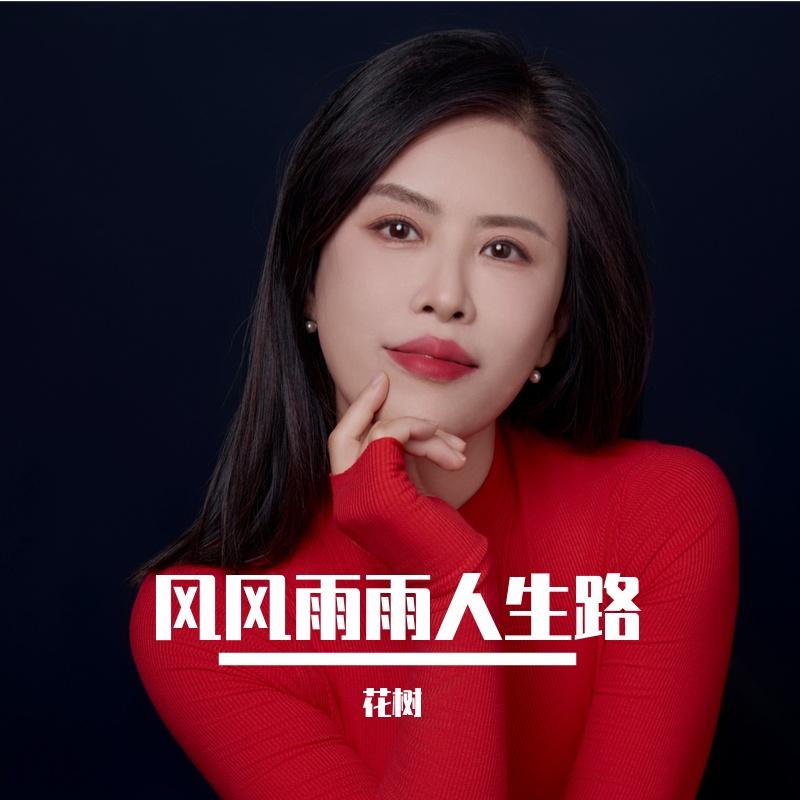 风风雨雨人生路 (DJ版)封面