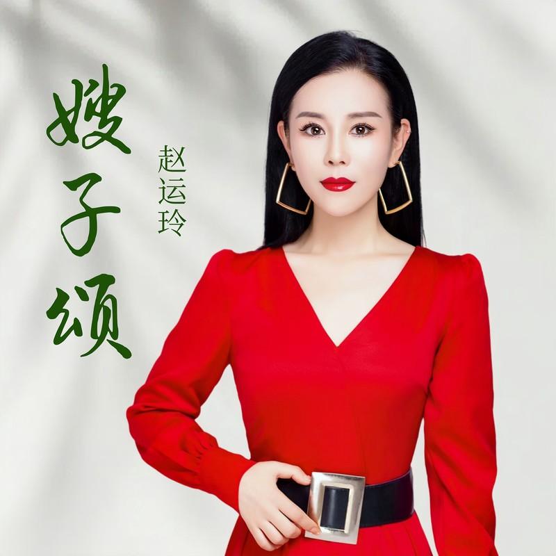 嫂子颂 (赵运玲 remix) - 赵运玲封面