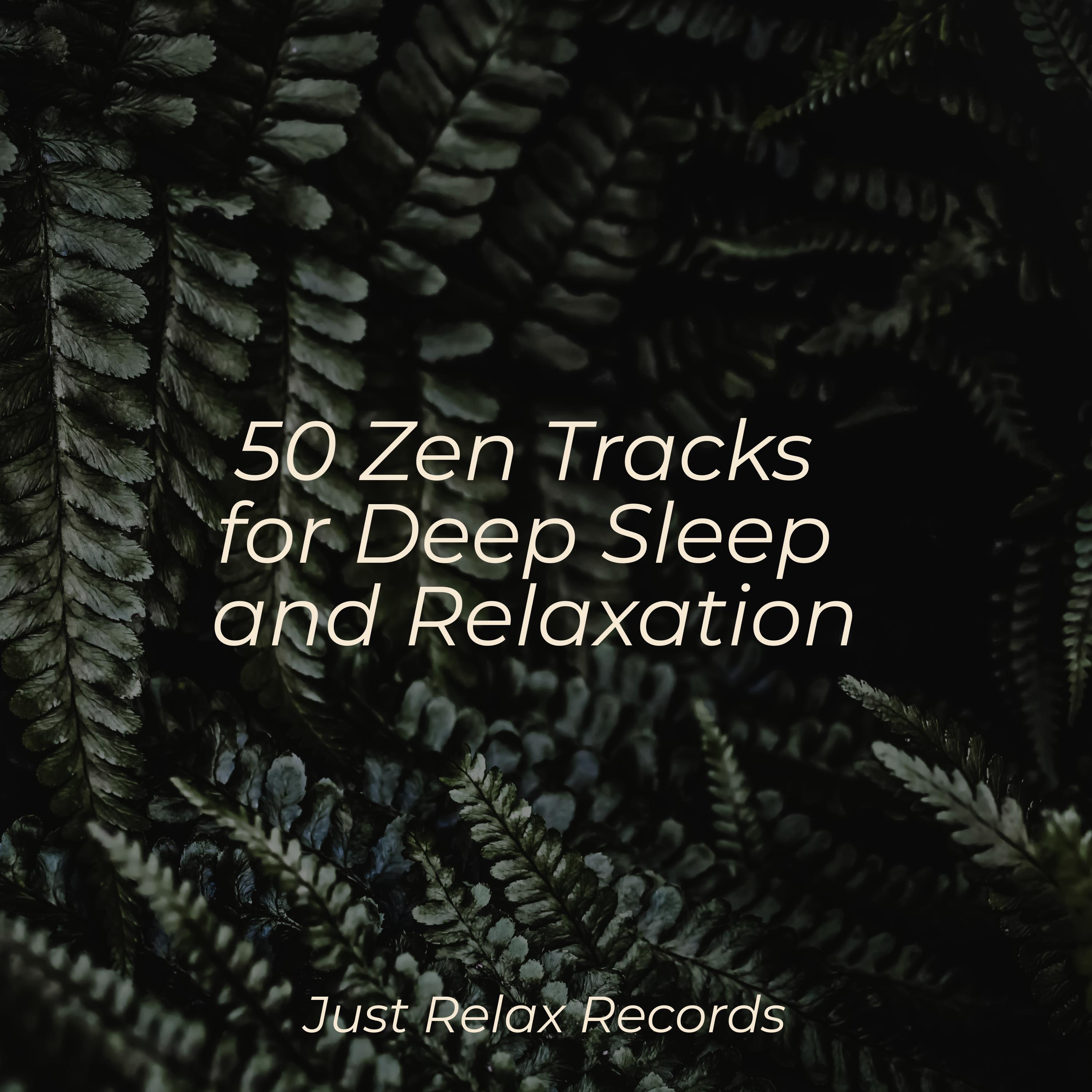 Slumbering Halo Mirage Happy Baby Lullaby Collection/Música para