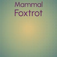 Mammal Foxtrot