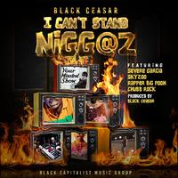 I Can’t Stand Nigg@z (feat. Severe Garcia, Chubb Rock, Skyzoo & Rapper Big Pooh)