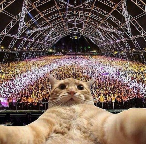 逆风翻盘专用：超燃phonk