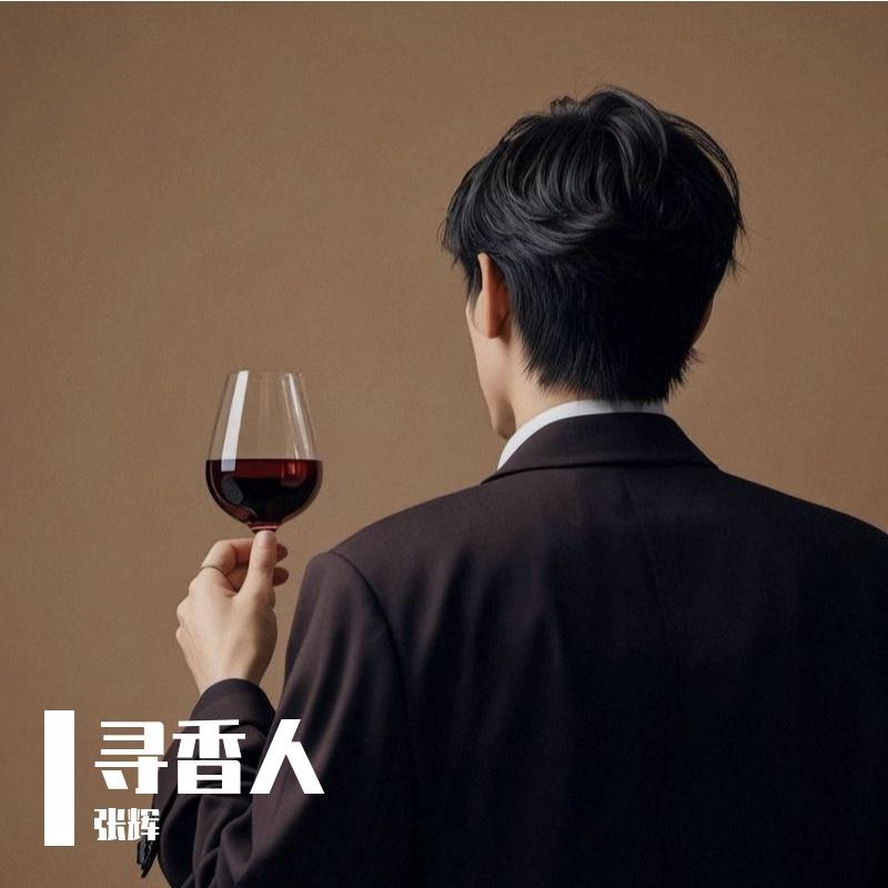 晚星封面