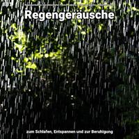 #01 Regengeräusche zum Schlafen, Entspannen und zur Beruhigung