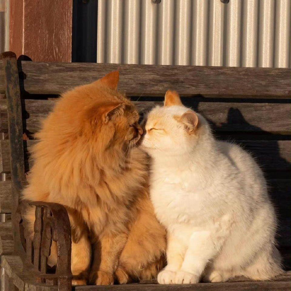 甜到漏嘅粤语歌