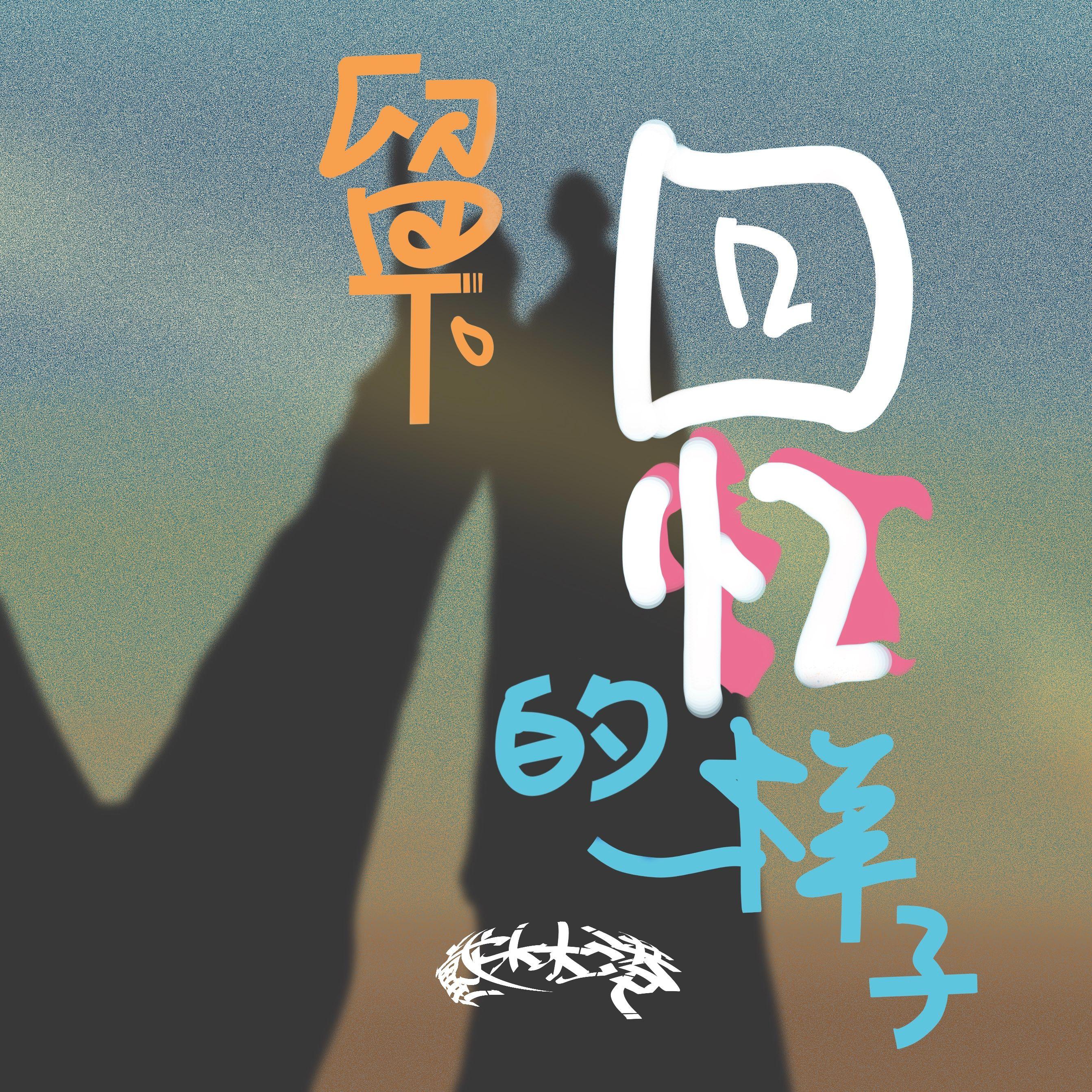 留下回忆的样子 伴奏 - 戴林港封面