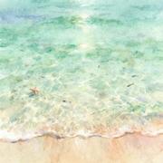 海的颜色
