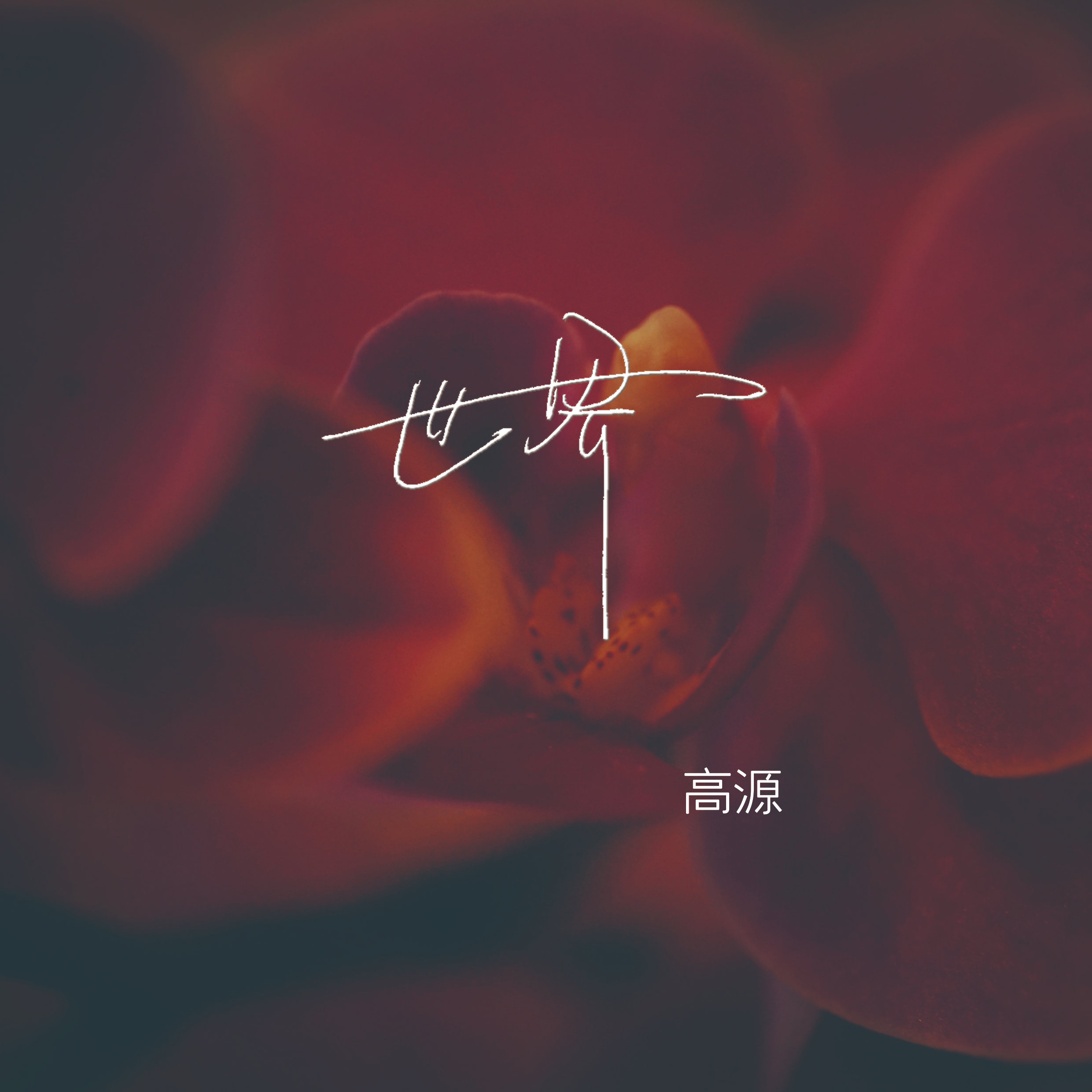 世界封面