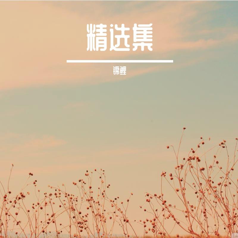 那个男孩(女声版)封面