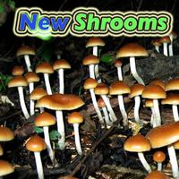 New Shrooms