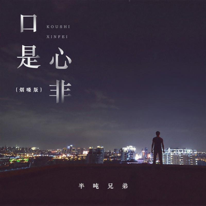 口是心非 (烟嗓版)封面