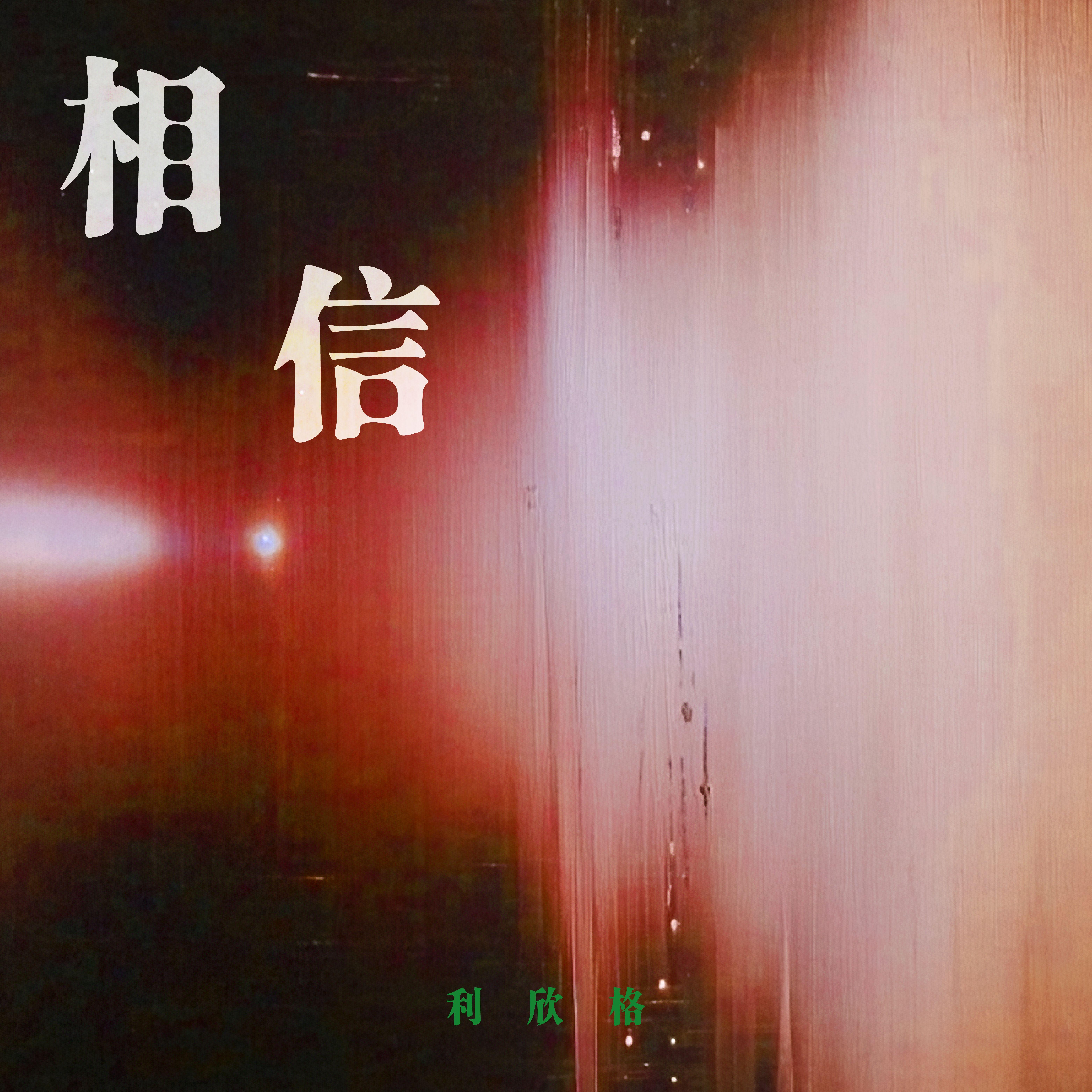 相信 - 利欣格封面