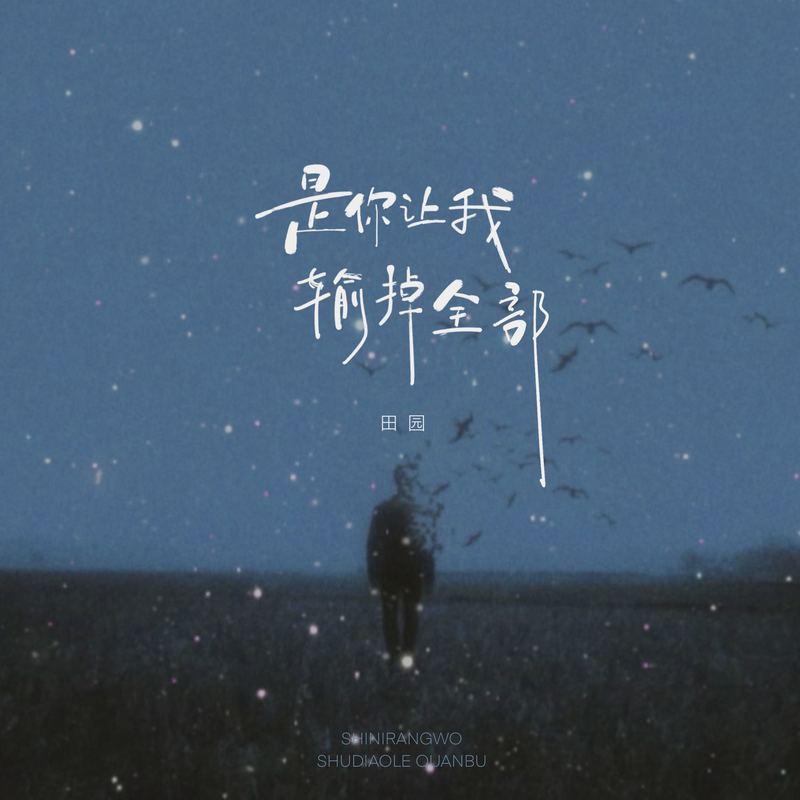 是你让我输掉全部 (DJ九零版)封面