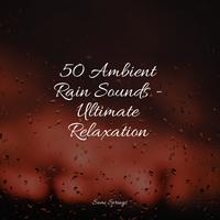 50 Ambient Rain Sounds - Ultimate Relaxation