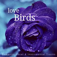 Love Birds (Romantic Vocal & Instrumental Tracks)