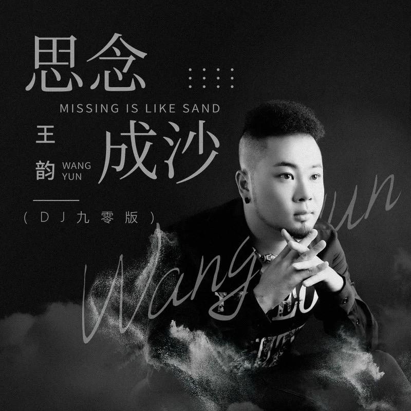思念成沙 (DJ九零版伴奏)封面