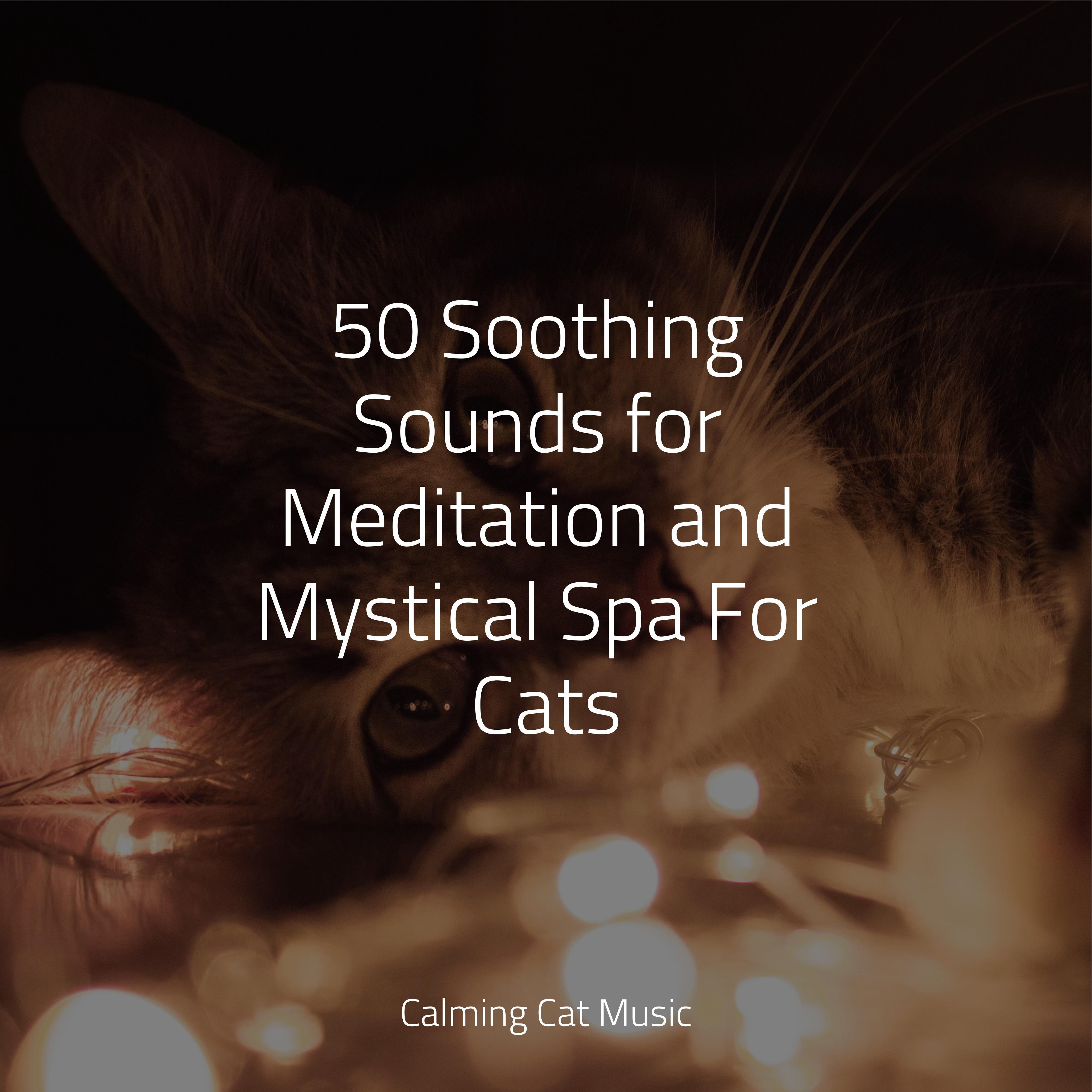 50 Soothing Sounds for Meditation and Mystical Spa For Cats - Jazz ... - Meditation Treats Calming For Cats And Owners