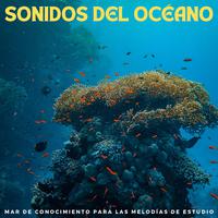 Sonidos Del Océano: Mar De Conocimiento Para Las Melodías De Estudio