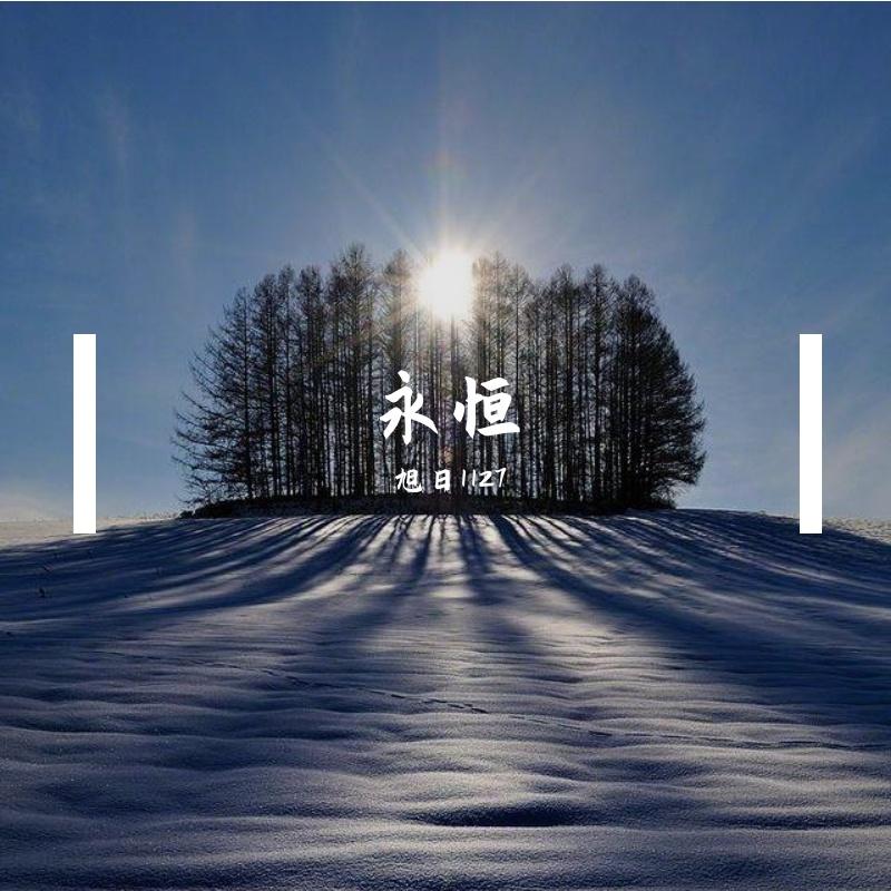 结局难以释怀封面