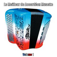 Le Meilleur de Accordéon Musette, Vol. 1