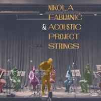 Acoustic Project Strings