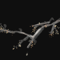 Dgrs7资料,Dgrs7最新歌曲,Dgrs7MV视频,Dgrs7音乐专辑,Dgrs7好听的歌