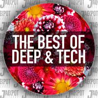 The Best of Deep & Tech House