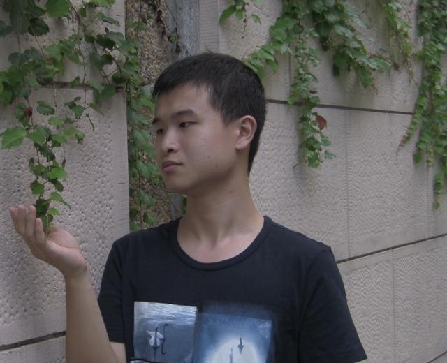 林天则