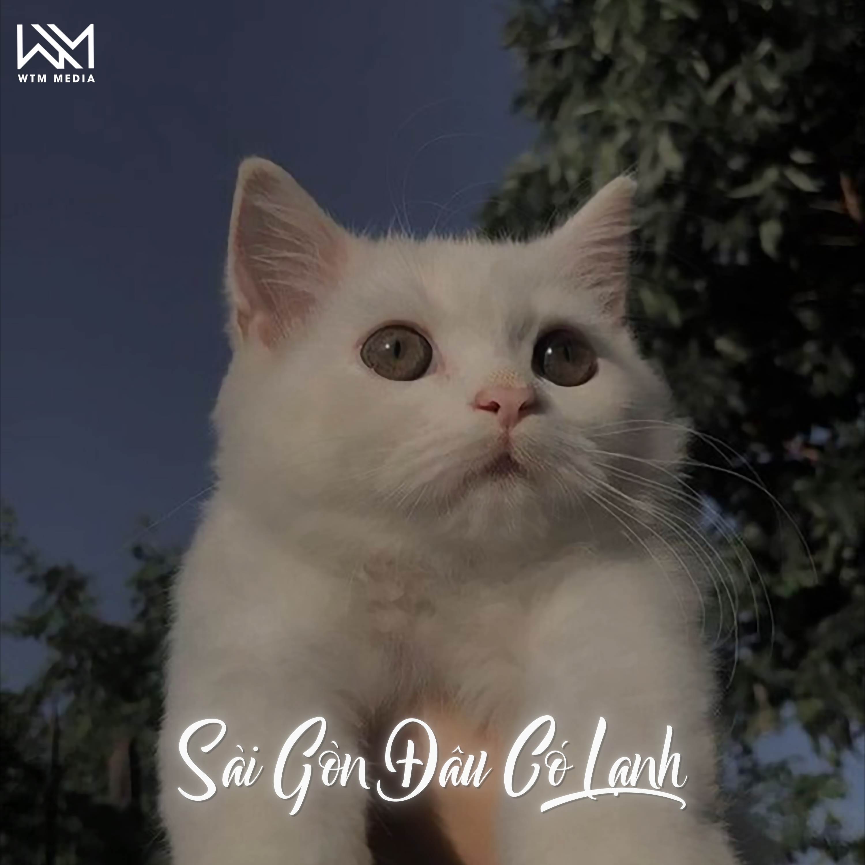 Sài Gòn Đâu Có Lạnh (Remix)