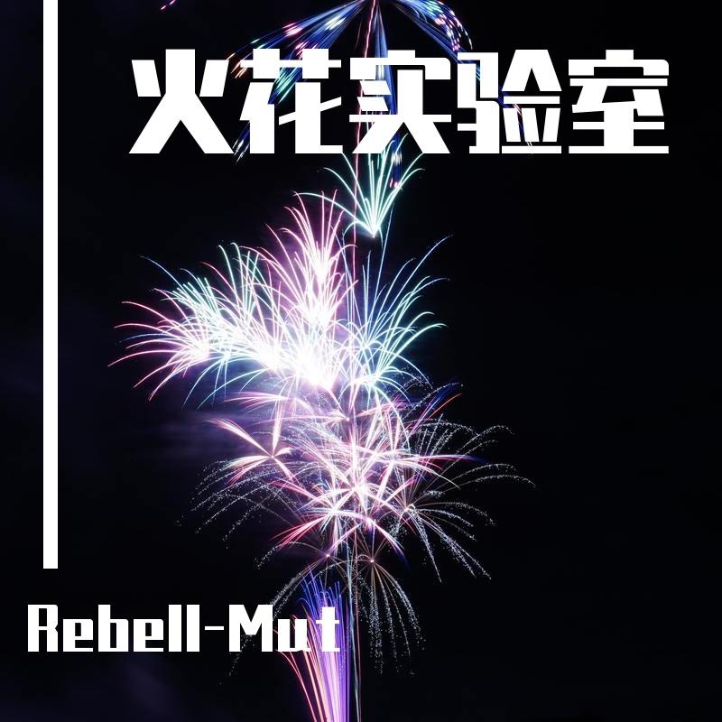 我不离开封面