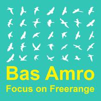 Focus On : Freerange  Bas Amro