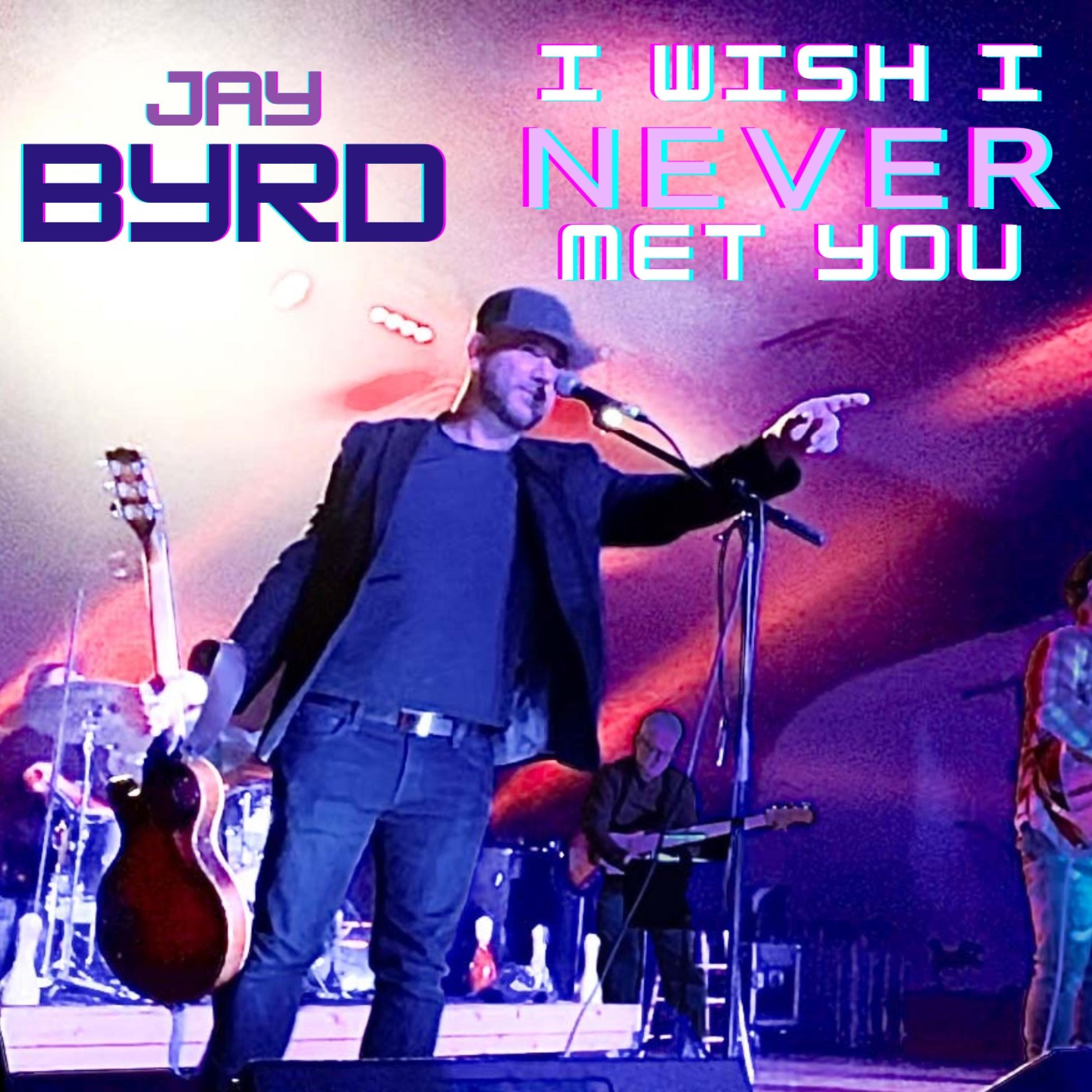 I Wish I Never Met You