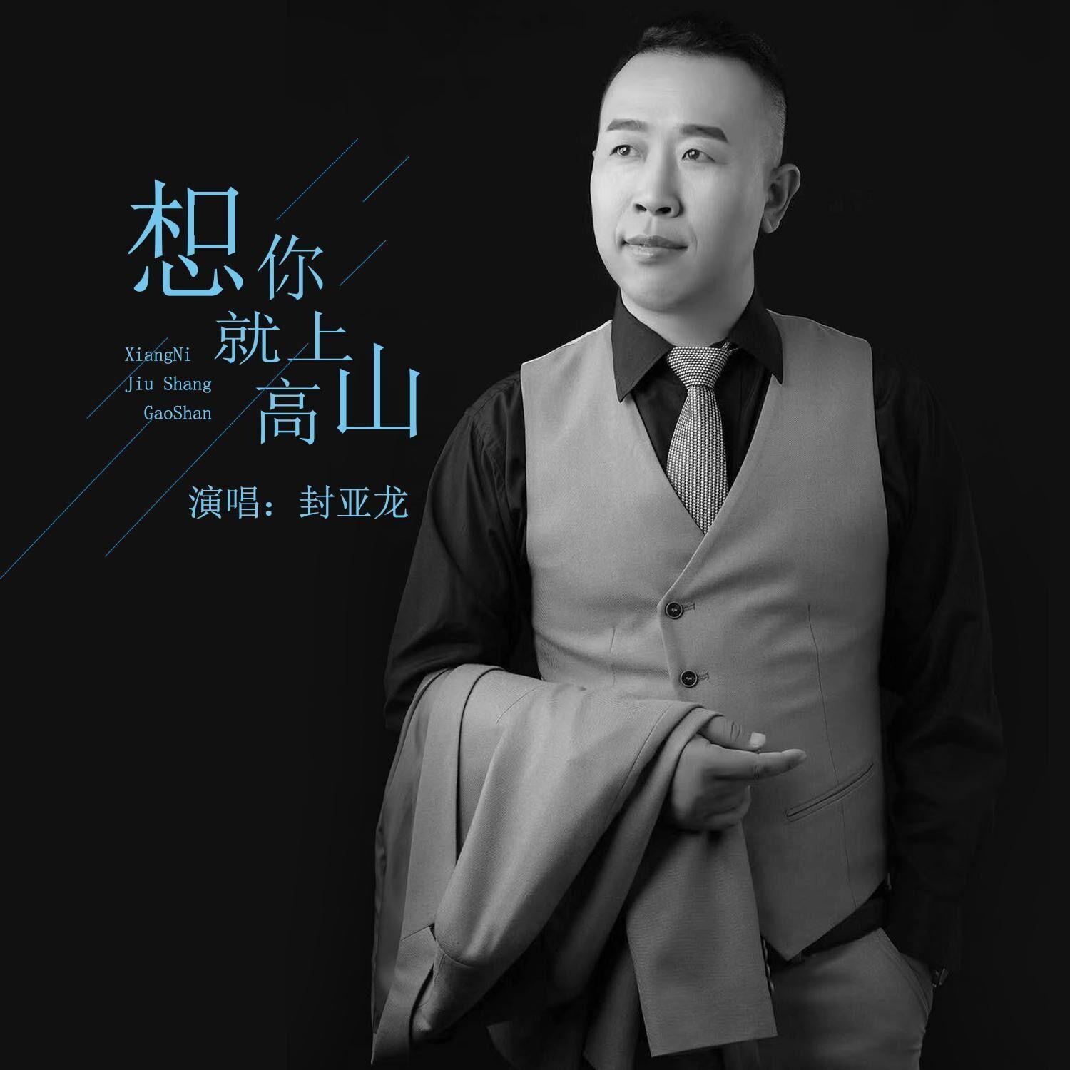想你就上高山 (DJ版) - 封亚龙封面