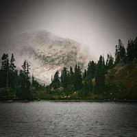 Sound of Wind in Forest will Help you Relax