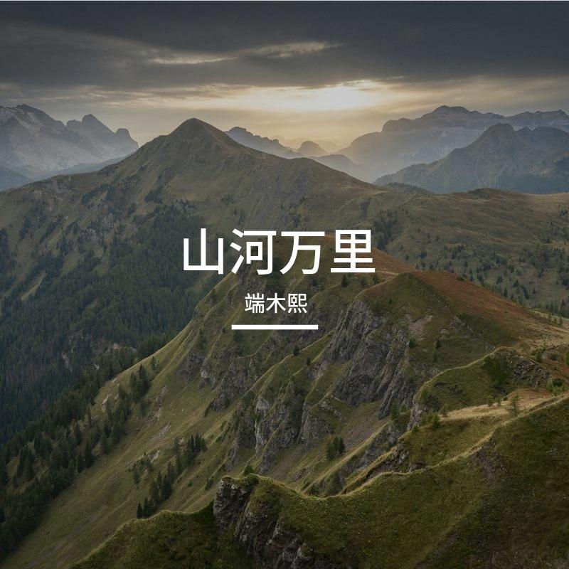 白鸽封面