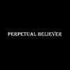 P霜卿 - Perpetual Believer